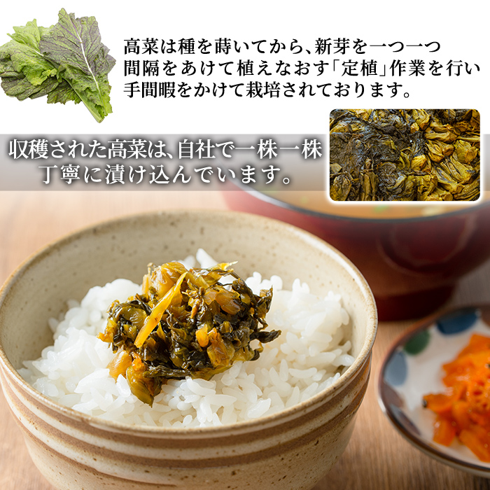 a568-A 九州産辛子高菜1kg(1kg×1パック)【九州新進】姶良市 国産 九州産 たかな 漬物 漬け物 ご飯のお供 おかず おつまみ おにぎり 常温 常温保存
