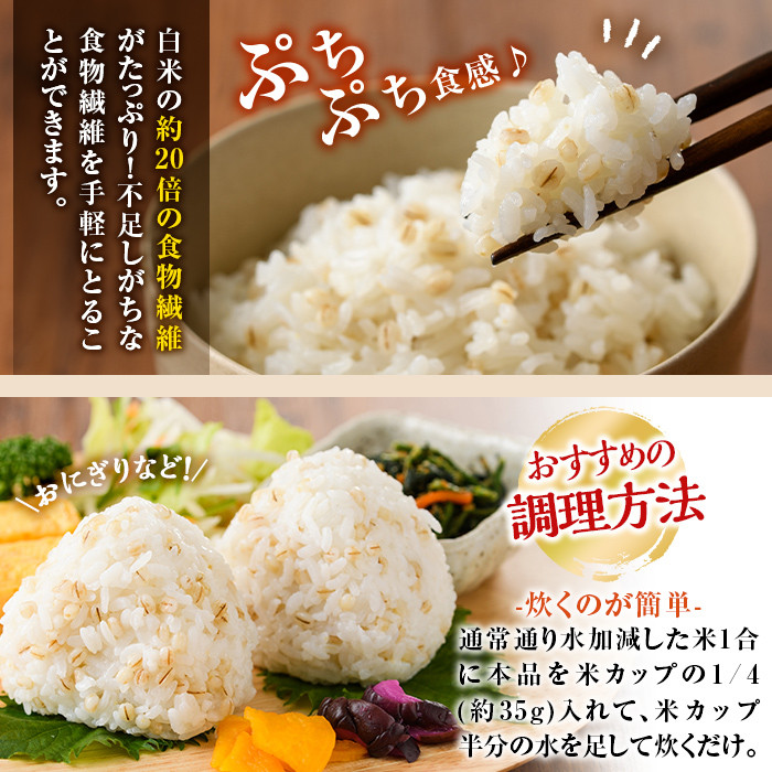 a713 数量限定！姶良市産はだか麦(計4kg・400g×10個)【竹之内穀類産業】 姶良市 国産 姶良市 ご飯 麦ごはん はだか麦 穀物 食物繊維 小分け