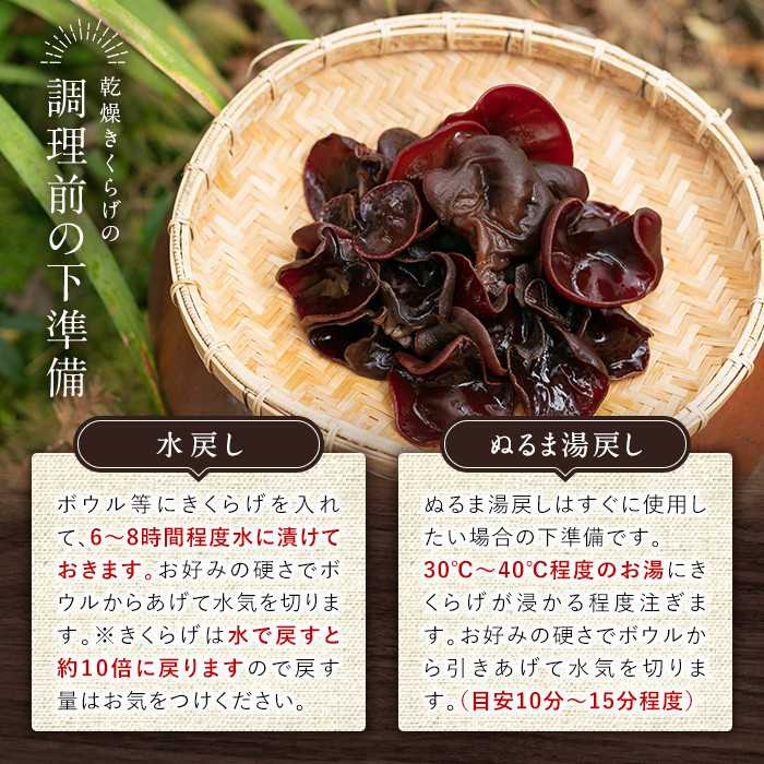 a769 国産乾燥きくらげ計120g(40g×3袋)【姶良のアグリM～】 姶良市 国産 きのこ キノコ 茸 野菜キクラゲ きくらげ 木耳 乾燥 天日干し 小分け 常温 常温保存 セット 化粧箱 ギフト箱