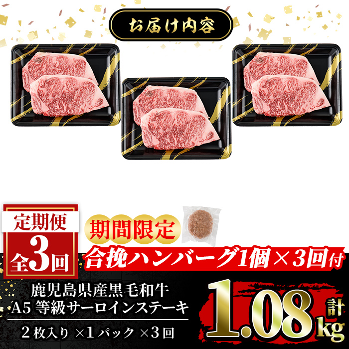 a853-E ＜期間限定！合挽ハンバーグ付＞【3回定期便】≪A5等級≫鹿児島県産黒毛和牛サーロイン2枚入り(3P計1.08kg) 【水迫畜産】姶良市 国産 牛肉 サーロインステーキ ステーキ ステーキ肉 和牛