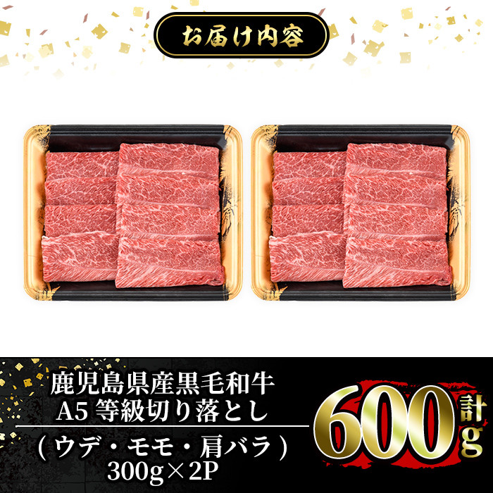 a855 ≪A5等級≫鹿児島県産黒毛和牛切り落とし計600g(300g×2P)【水迫畜産】 姶良市 国産 牛肉 切り落とし