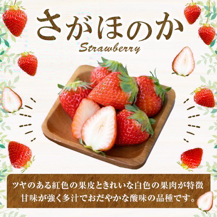a881-02 【土日祝着】＜先行予約受付中！2026年2月上旬～3月下旬に発送予定＞ いちご・さがほのか(合計24粒～30粒)【佳農園】国産 鹿児島県産 苺 イチゴ フルーツ 果物 くだもの ギフト 贈答用