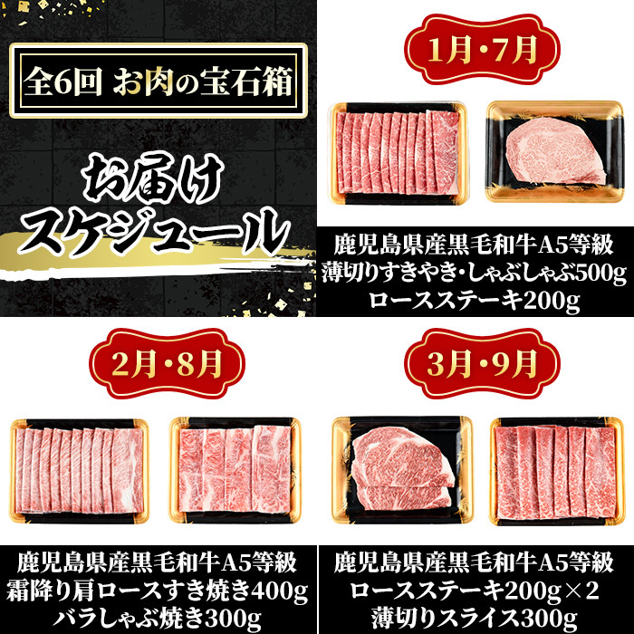 a899 《定期便全6回》A5等級！鹿児島県産黒毛和牛「お肉の宝石箱」ロースステーキ・ヒレステーキ・すきやき・しゃぶしゃぶ・ローストビーフ用ブロック(計3.4kg超)【水迫畜産】姶良市 国産 鹿児島産 お肉 肉 牛肉 スライス 薄切り 冷凍 肉定期便