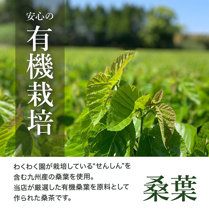 a927 菊芋桑茶120包セット(60包入り×2袋)【わくわく園】菊芋 スーパーフード 桑の葉 くわ 天然100％ 桑の葉