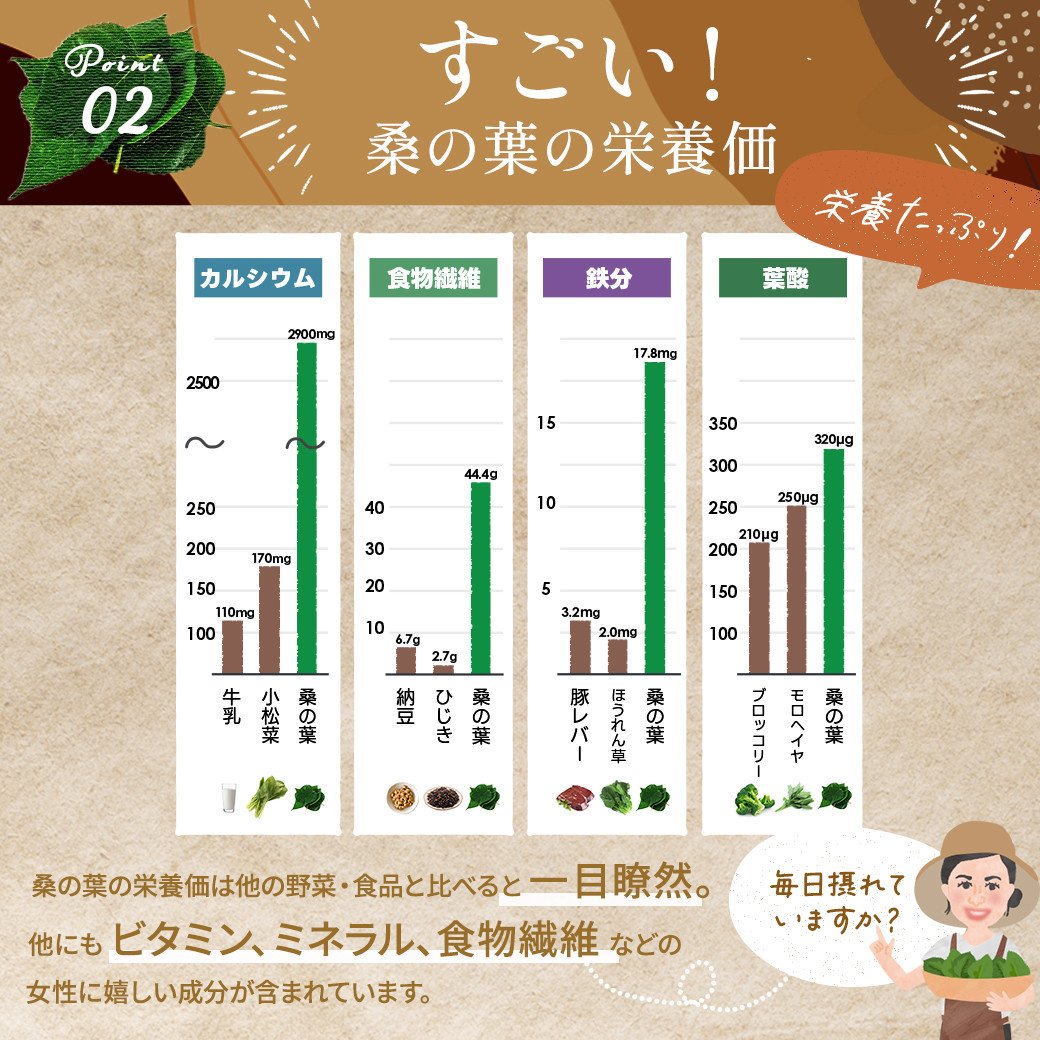 a933 さつま桑茶10袋セット【わくわく園】桑の葉 桑 桑茶 国産 高級品種 センシン