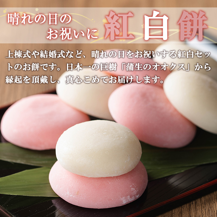 a951-A 紅白餅(60g×2個を15セット)【ちろす家】姶良市 おもち 餅 お祝い 餅投げ 餅まき イベント 個包装 和菓子 真空パック 冷凍 選べる お餅