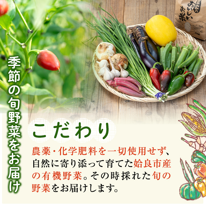 a967 姶良産 有機野菜の詰合せセット(10種前後)【今村農園】 姶良市 国産 鹿児島県 野菜 やさい 旬 有機栽培 詰め合わせ 春 夏 秋 冬 季節