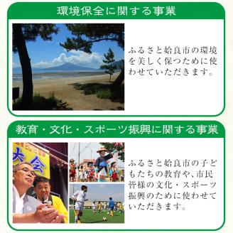 a474 ≪返礼品なし≫鹿児島県姶良市への寄附【姶良市】