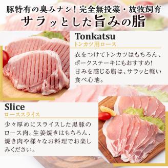 a830 《数量限定》月ノ灯牧場直送！完全無投薬・放牧の鹿児島県産黒豚ロースセット合計1kg(トンカツ用500g・スライス500g)【pig village company】 姶良市 冷凍 とんかつ 豚カツ ロース カツ 豚ロース 生姜焼き 放牧飼育 セット