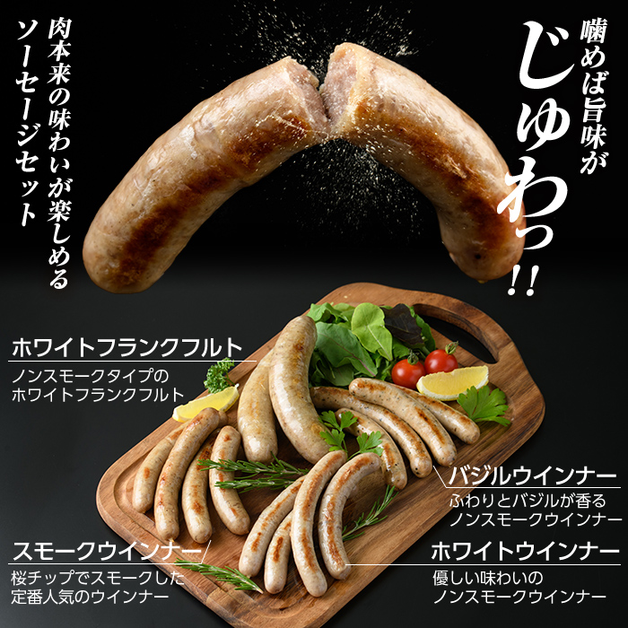 a010-B 【3回定期便】鹿児島黒豚「短鼻豚」無添加ソーセージ4種詰め合わせ(4種各1パック×3回)【鹿児島ますや】姶良市 ウインナー ウィンナー フランクフルト 豚肉 おかず