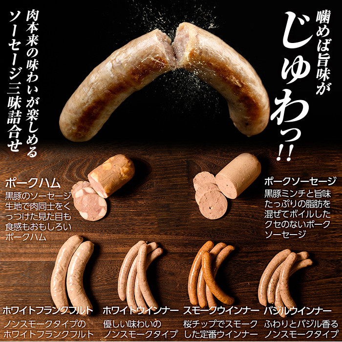 a042 鹿児島黒豚「短鼻豚」無添加ハムソーセージ三昧詰め合わせ総合計1kg【鹿児島ますや】 姶良市 国産 ウィンナー 無添加 ウインナー ソーセージ フランクフルト ハム 冷凍 黒豚 豚肉 おかず