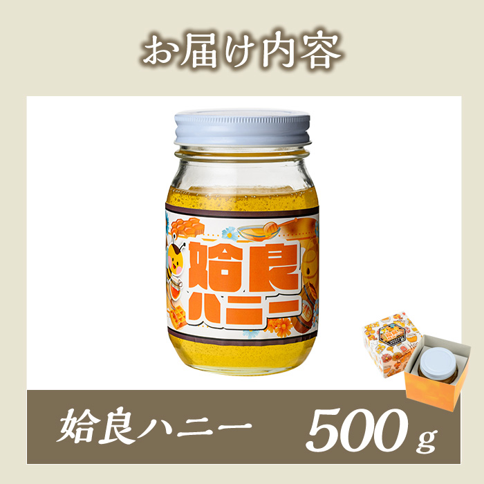 a1002-B 《期間限定！》姶良ハニー(500g)【原電設工業】 姶良市 国産 ハチミツ はちみつ 蜂蜜 百花蜜 蜜 常温 常温保存