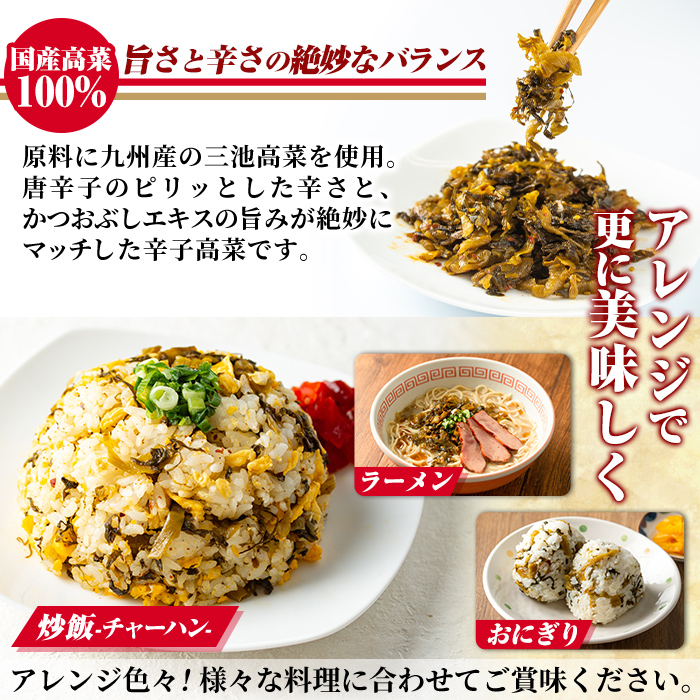 a568-B 九州産辛子高菜4kg(1kg×4パック)【九州新進】姶良市 国産 九州産 たかな 漬物 漬け物 ご飯のお供 おかず おつまみ おにぎり 常温 常温保存