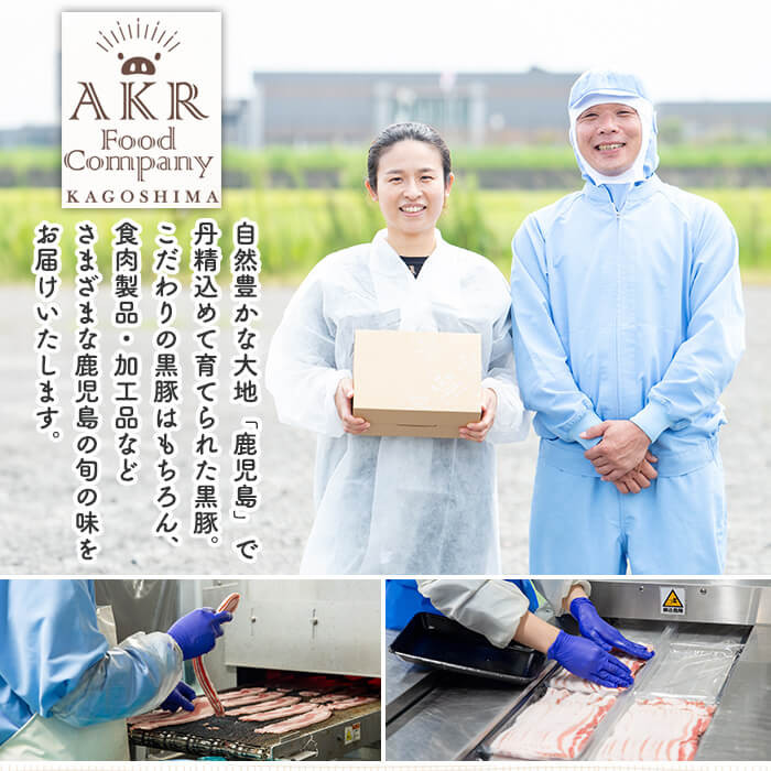 a750 鹿児島県産黒毛和牛ハンバーグセット(200g×5パック)【AKR Food Company】姶良市 国産 牛肉100% 冷凍 小分け