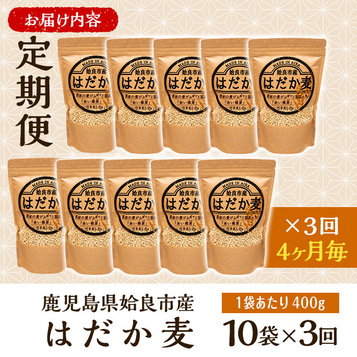 a767 《数量限定・定期便全3回》姶良市産はだか麦(計12kg・400g×10袋×3回)【竹之内穀類産業】 姶良市 国産 姶良市 ご飯 麦ごはん はだか麦 穀物 食物繊維 小分け
