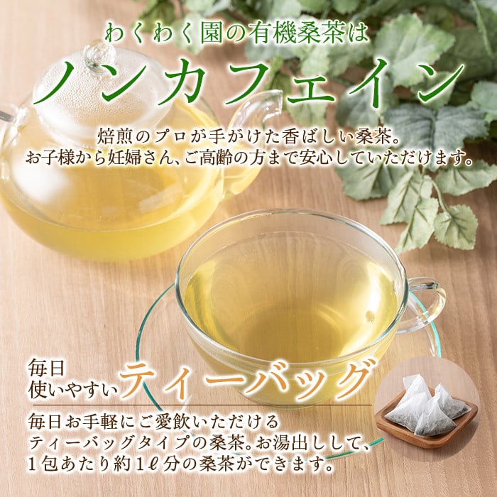 a793 国産！わくわく園有機桑茶・計120包(2g×60包・2袋)【わくわく園】 姶良市 桑の葉 有機 桑茶 桑 桑の葉茶 お茶 ティーバッグ ティーパック ノンカフェイン くわ 茶 九州産