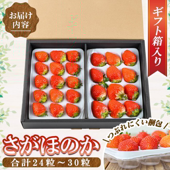 a881-02 【土日祝着】＜先行予約受付中！2026年2月上旬～3月下旬に発送予定＞ いちご・さがほのか(合計24粒～30粒)【佳農園】国産 鹿児島県産 苺 イチゴ フルーツ 果物 くだもの ギフト 贈答用