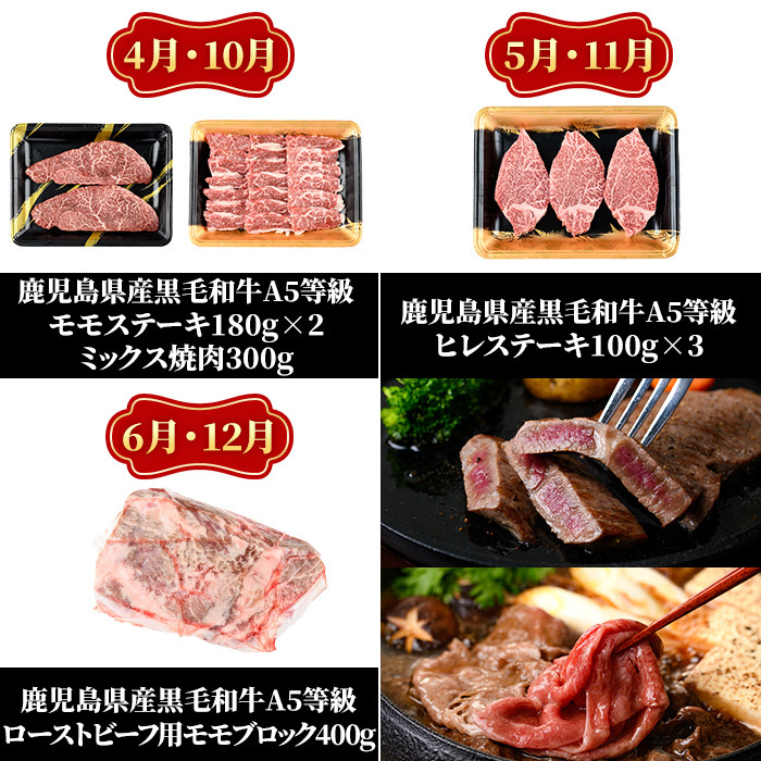 a899 《定期便全6回》A5等級！鹿児島県産黒毛和牛「お肉の宝石箱」ロースステーキ・ヒレステーキ・すきやき・しゃぶしゃぶ・ローストビーフ用ブロック(計3.4kg超)【水迫畜産】姶良市 国産 鹿児島産 お肉 肉 牛肉 スライス 薄切り 冷凍 肉定期便