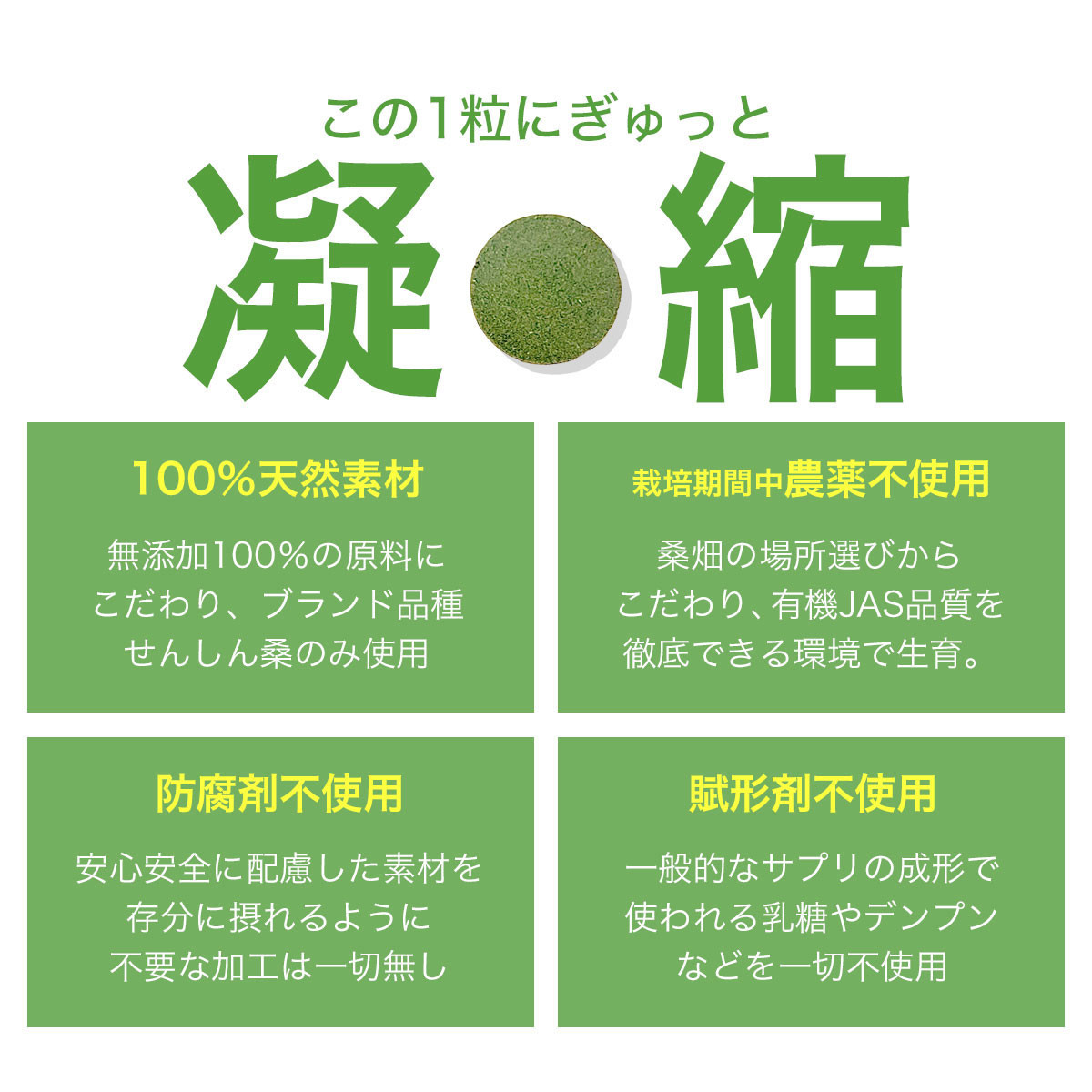 a934 さつま桑粒10袋セット【わくわく園】桑の葉 サプリ サプリメント くわ 天然100％ 有機 桑の葉 有機JAS