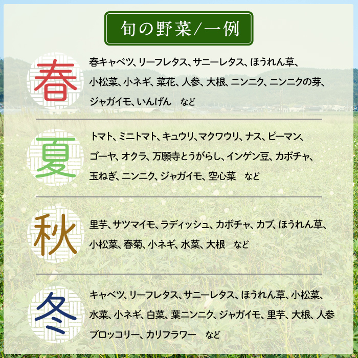 a967 姶良産 有機野菜の詰合せセット(10種前後)【今村農園】 姶良市 国産 鹿児島県 野菜 やさい 旬 有機栽培 詰め合わせ 春 夏 秋 冬 季節