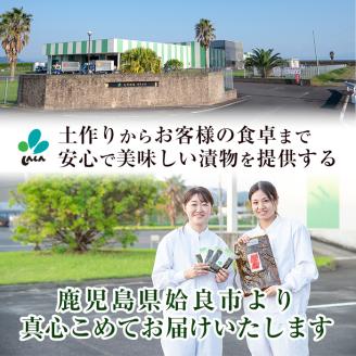 a868 プチつけものカレー福神漬 160P合計2.4kg(15g×40P×4セット) 【九州新進】 姶良市  常温 漬物 漬け物 ふくじん漬け 食べきり 小分けパック