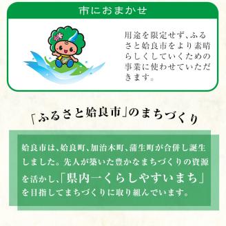a474 ≪返礼品なし≫鹿児島県姶良市への寄附【姶良市】