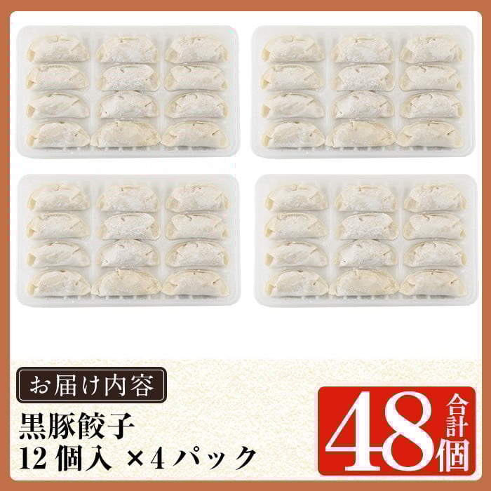 a441 ＜年内発送＞鹿児島黒豚「短鼻豚」無添加餃子セット48個【鹿児島ますや】姶良市 ギョーザ 餃子 無添加 惣菜 おかず  おつまみ 冷凍 黒豚 国産野菜 ぎょうざ