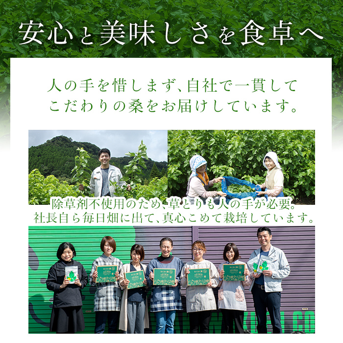 a626 国産！わくわく園純粋桑青汁いきいきセット(さつま桑青汁スティック合計157本)【わくわく園】 姶良市 桑の葉 青汁 桑 青汁 粉末青汁 有機栽培 有機JAS スティックタイプ 国産