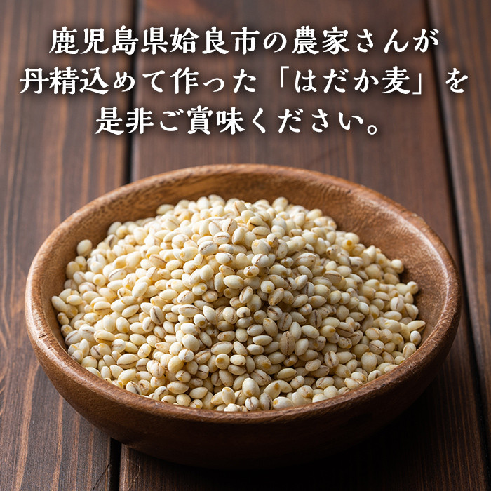 a713 数量限定！姶良市産はだか麦(計4kg・400g×10個)【竹之内穀類産業】 姶良市 国産 姶良市 ご飯 麦ごはん はだか麦 穀物 食物繊維 小分け