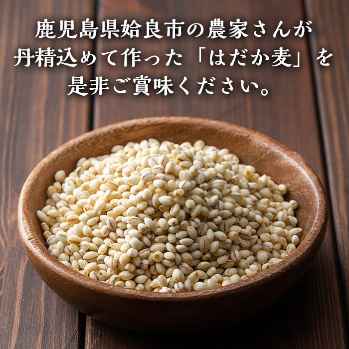 a767 《数量限定・定期便全3回》姶良市産はだか麦(計12kg・400g×10袋×3回)【竹之内穀類産業】 姶良市 国産 姶良市 ご飯 麦ごはん はだか麦 穀物 食物繊維 小分け