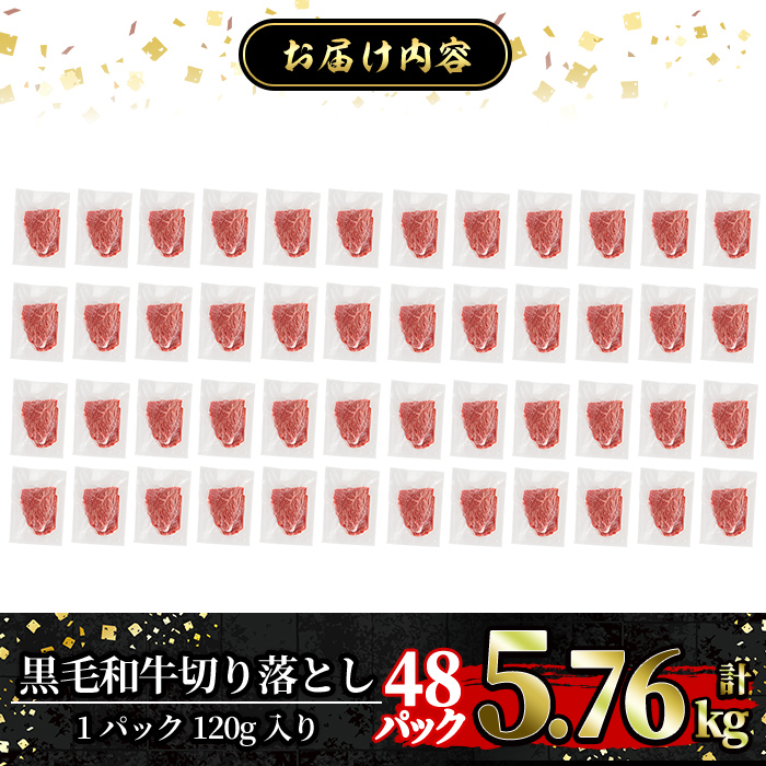 a844-E 黒毛和牛切り落とし(48P計5.76kg)【水迫畜産】国産 肉 牛肉 黒毛和牛 切り落とし セット 小分け トレー無し SDGs