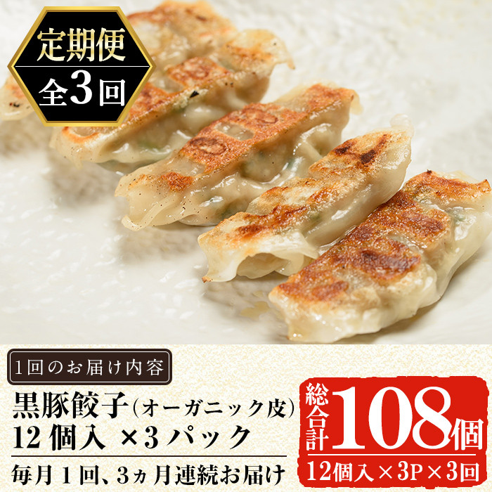 a879 【12月9日受付終了】《定期便全3回》鹿児島黒豚「短鼻豚」無添加餃子(オーガニック皮)セット計108個(36個×3回)【鹿児島ますや】 姶良市 ギョーザ 餃子 無添加 惣菜 おかず おつまみ 冷凍 黒豚 国産野菜 ぎょうざ