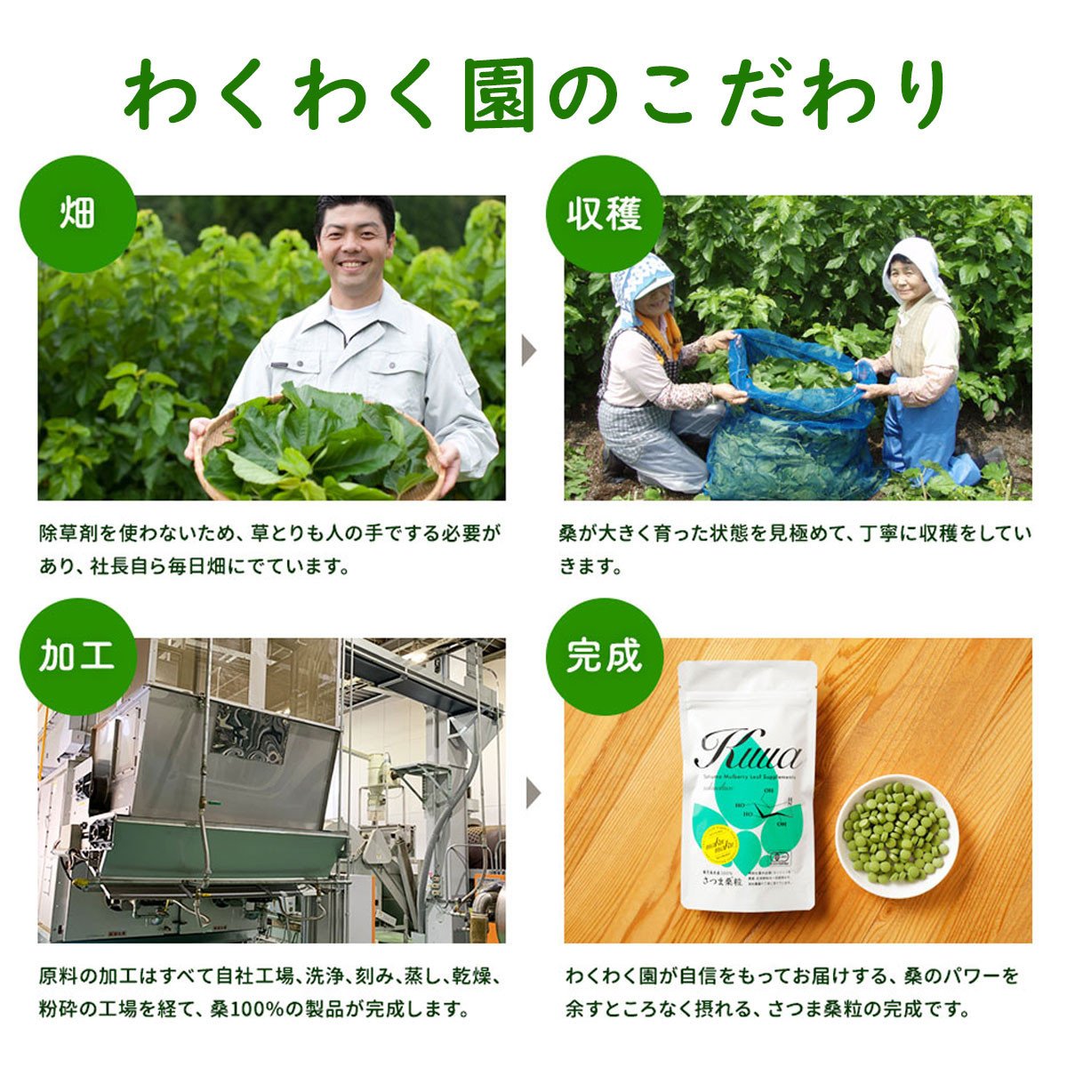 a935 さつま桑粒5袋セット【わくわく園】桑の葉 サプリ サプリメント くわ 天然100％ 有機 桑の葉 有機JAS