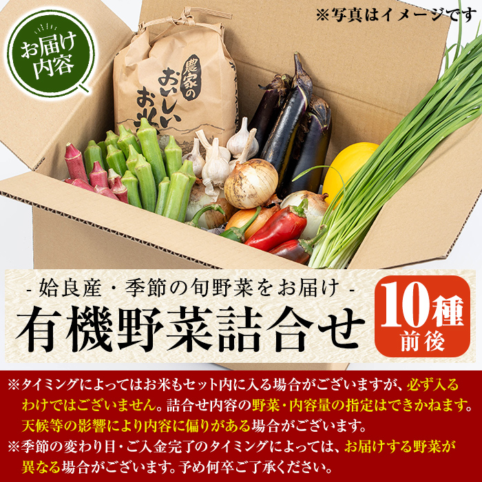 a967 姶良産 有機野菜の詰合せセット(10種前後)【今村農園】 姶良市 国産 鹿児島県 野菜 やさい 旬 有機栽培 詰め合わせ 春 夏 秋 冬 季節