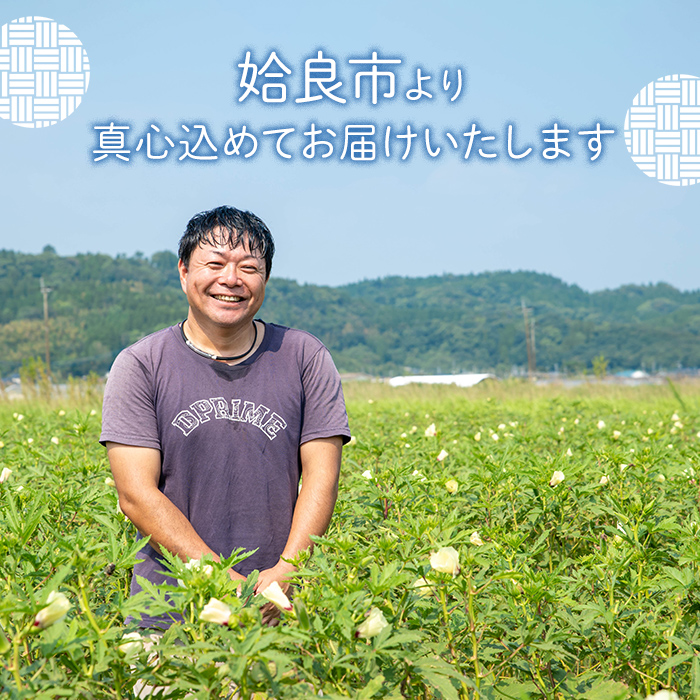 a992 《訳あり》《期間限定！2025年12月上旬～2026年3月上旬迄に発送予定》有機人参 (10kg)【今村農園】姶良市 国産 有機栽培 有機 野菜 やさい にんじん ニンジン 訳アリ