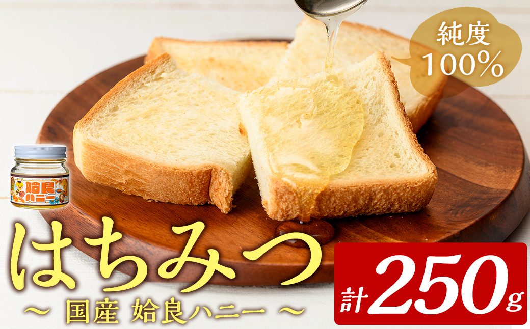 a1002-A 《期間限定！》姶良ハニー(250g)【原電設工業】 姶良市 国産 ハチミツ はちみつ 蜂蜜 百花蜜 蜜 常温 常温保存