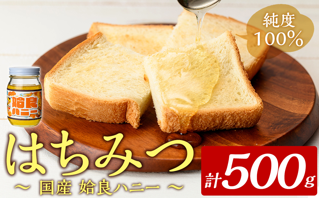 a1002-B 《期間限定！》姶良ハニー(500g)【原電設工業】 姶良市 国産 ハチミツ はちみつ 蜂蜜 百花蜜 蜜 常温 常温保存