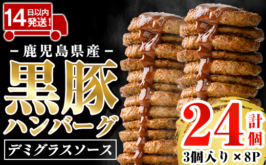 a1003 鹿児島県産黒豚ハンバーグ 計24個 (210g(3個入)×8P) 【AKR Food Company】姶良市 ハンバーグ デミグラスソース デミソース 国産 鹿児島県産 肉 豚 豚肉 かごしま黒豚さつま お弁当 惣菜 総菜 冷凍ハンバーグ おかず 温めるだけ 湯煎 簡単 冷凍 小分け