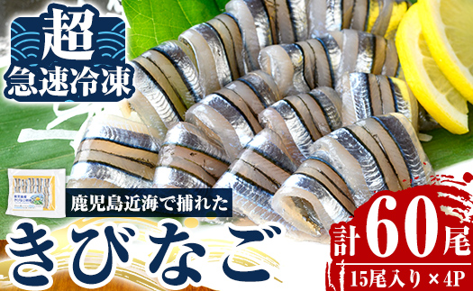 a1041 捕れたてキビナゴのお刺身(15尾入り×4P)【海鮮七海】姶良市 国産 きびなご キビナゴ 刺身 さしみ 刺し身 冷凍