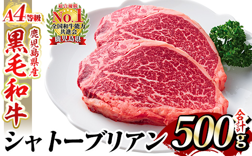 a1076 A4等級 以上 鹿児島産黒毛和牛・シャトーブリアン5枚(合計500g)【財宝】国産 牛肉 希少部位 フィレ ステーキ