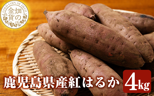 a174 畑の金貨・紅はるか4kg(生芋)【甘いも販売所】姶良市 国産 さつま芋 サツマイモ べにはるか 貯蔵 熟成 蜜芋 蜜いも さつまいも