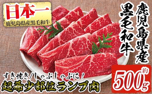 a257 超希少部位！鹿児島県産黒毛和牛肉！ランプ肉スライス 約500g！すき焼きやしゃぶしゃぶに♪【財宝】 姶良市 国産 肉 牛肉 すきやき すき焼き しゃぶしゃぶ