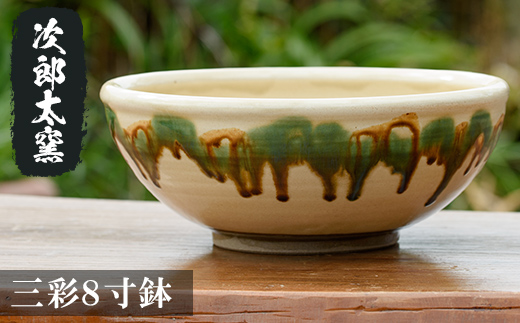 a288 三彩8寸鉢！【次郎太窯】 姶良市 陶器 食器 皿 大皿 器 うつわ おしゃれ