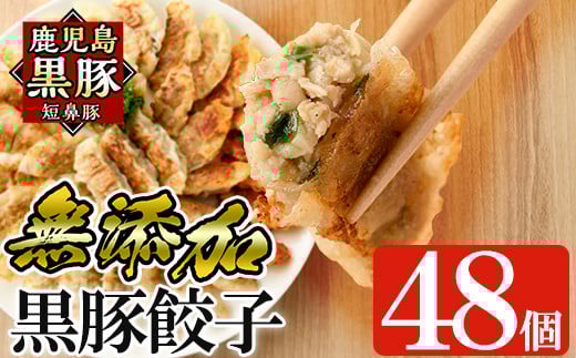 a441 ＜年内発送＞鹿児島黒豚「短鼻豚」無添加餃子セット48個【鹿児島ますや】姶良市 ギョーザ 餃子 無添加 惣菜 おかず  おつまみ 冷凍 黒豚 国産野菜 ぎょうざ