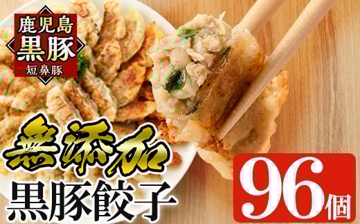 a442 鹿児島黒豚「短鼻豚」無添加餃子セット96個【鹿児島ますや】姶良市 ギョーザ 餃子 無添加 惣菜 おかず おつまみ 冷凍 黒豚 国産野菜 ぎょうざ