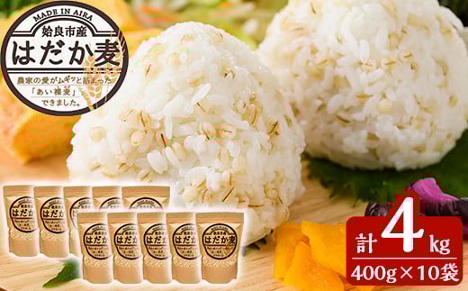 a713 数量限定！姶良市産はだか麦(計4kg・400g×10個)【竹之内穀類産業】 姶良市 国産 姶良市 ご飯 麦ごはん はだか麦 穀物 食物繊維 小分け
