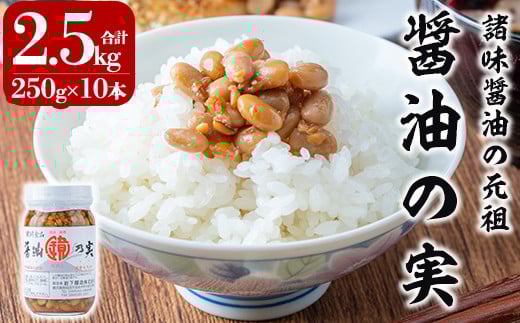 a756 醤油の実(2.5kg・250g×10本)【岩下醸造】姶良市 常温 瓶詰め
