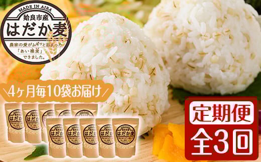 a767 《数量限定・定期便全3回》姶良市産はだか麦(計12kg・400g×10袋×3回)【竹之内穀類産業】 姶良市 国産 姶良市 ご飯 麦ごはん はだか麦 穀物 食物繊維 小分け