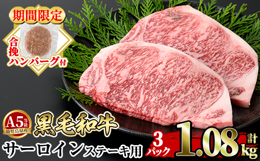 a853-C ＜期間限定！合挽ハンバーグ付＞≪A5等級≫鹿児島県産黒毛和牛サーロイン2枚入り(3P計1.08kg) 【水迫畜産】姶良市 国産 牛肉 サーロインステーキ ステーキ ステーキ肉 和牛