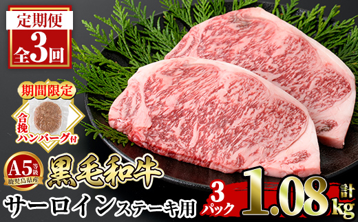 a853-E ＜期間限定！合挽ハンバーグ付＞【3回定期便】≪A5等級≫鹿児島県産黒毛和牛サーロイン2枚入り(3P計1.08kg) 【水迫畜産】姶良市 国産 牛肉 サーロインステーキ ステーキ ステーキ肉 和牛